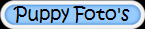 Puppy Foto's